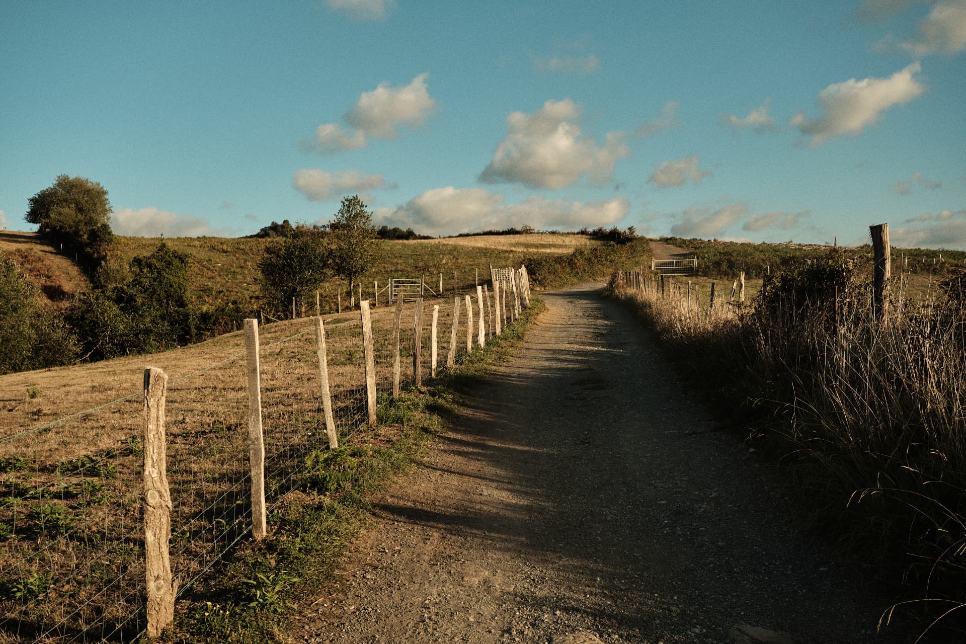 Camino rural entre campos bajo un cielo azul