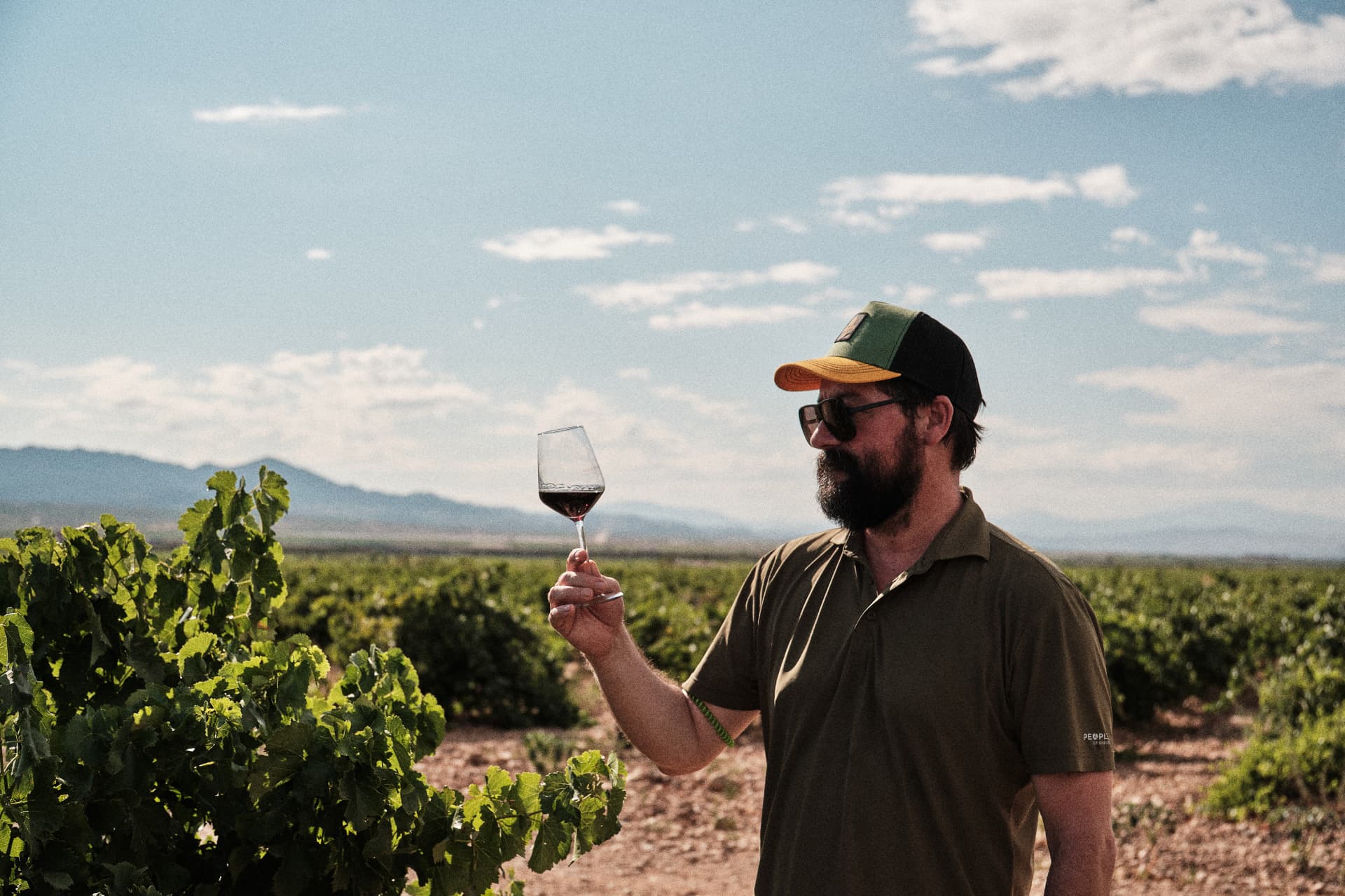 Hombre observando una copa de vino en el viñedo