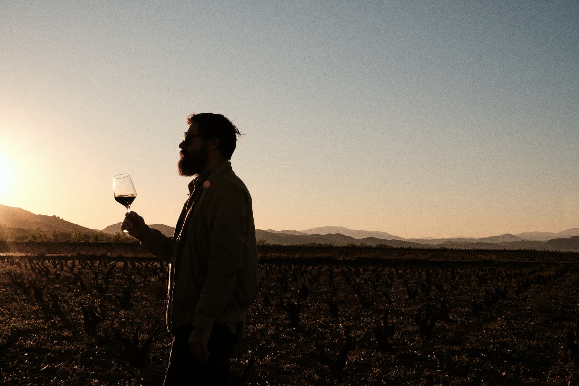 Hombre observando una copa de vino al atardecer en el viñedo