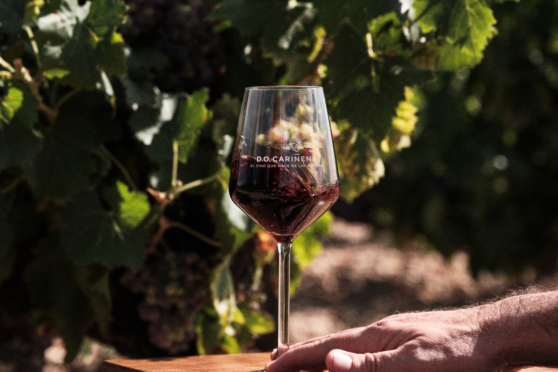 Copa de vino sostenida entre las viñas