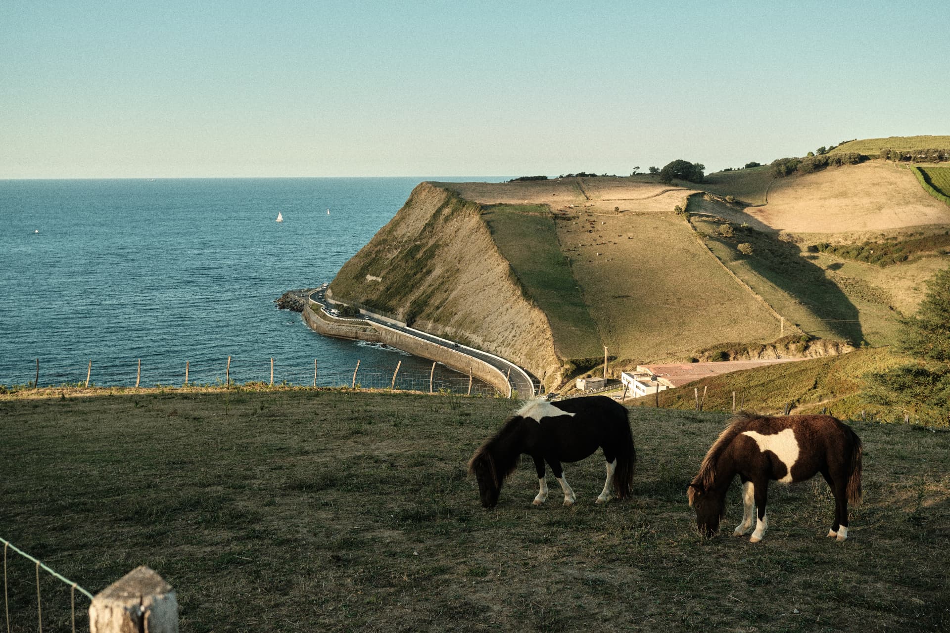 Acantilados junto al mar con caballos en primer plano